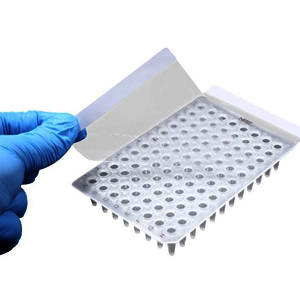 PCR SEALING FILM-PP